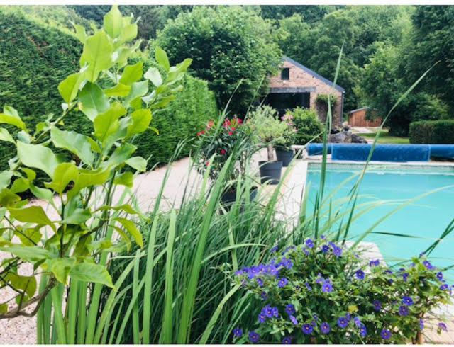 La Mosane Bed & Breakfast Profondeville Bagian luar foto